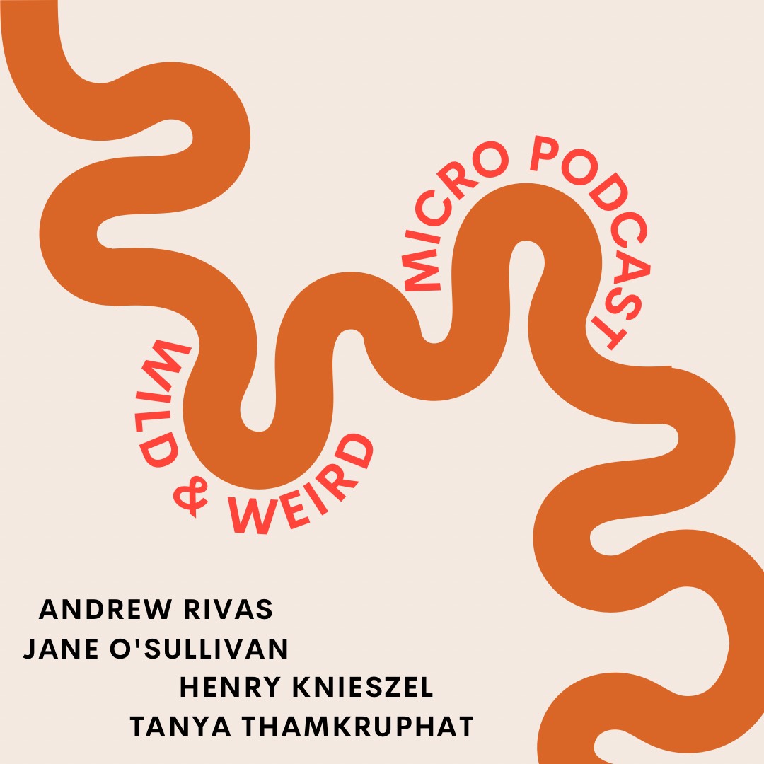 Wild & Weird! Wild & Weird!